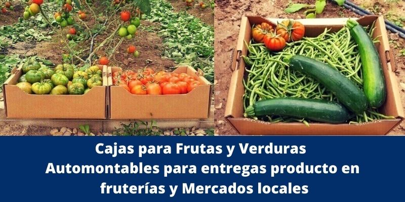 Cajas para Frutas y Verduras Automontables para entregas producto en fruterías y Mercados locales