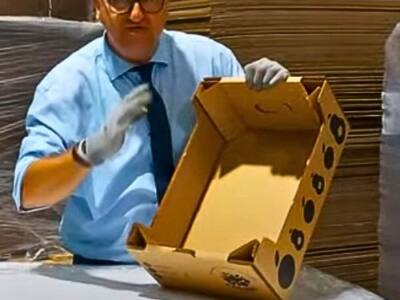 Cajas para 10 kg de Frutas y Verduras