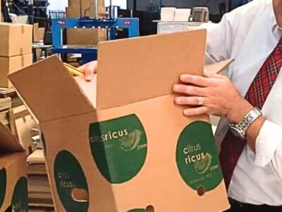 Cajas para Naranjas 5 a 10 kg para MENSAJERIA