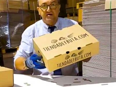 Cajas de Cartón para AGUACATES – MODELO TAPA Y FONDO