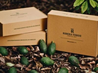 Cajas para Ecommerce 30x20x10 canal 3 fuerte