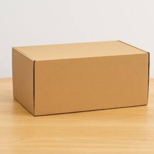 Cajas de cartón para Zapatos 37×24,5×13,5 MICROCANAL