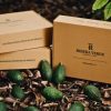cajas para aguacates