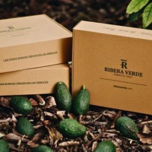 cajas para aguacates