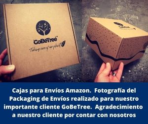 Cajas para Envíos